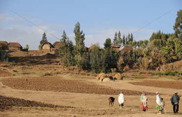 Mangudo  Aethiopien  Bauern auf dem Feld