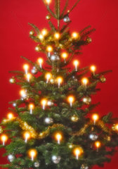 Hamburg  Deutschland  geschmueckter und beleuchteter Weihnachtsbaum