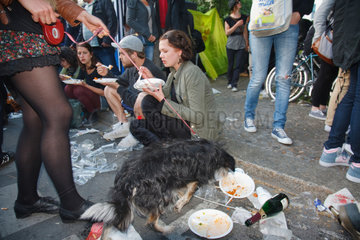 Berlin  Deutschland  ein Hund isst die Reste der Besucher auf dem Myfest in Kreuzberg