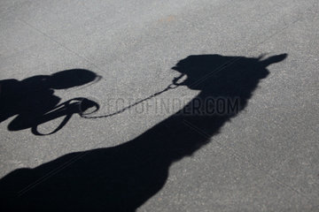 Bad Berleburg  Deutschland  Frau und Pferd werfen einen Schatten auf den Boden