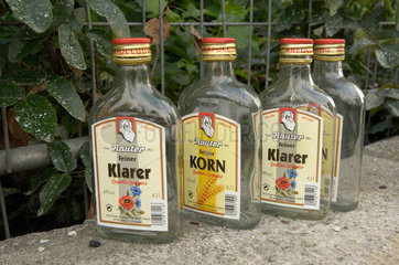Berlin  Deutschland  ausgetrunkene Schnapsflaschen