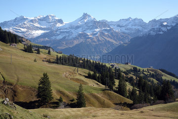Ruogig  Schweiz  Schweizer Alpen