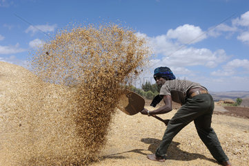 Mangudo  Aethiopien  ein Bauer schuettet Korn auf