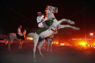 Dubai  VAE  Showauffuehrung. Reiter in Landestracht sitzt auf einem steigenden Pferd