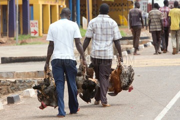 Kamdini  Uganda - Stadtansicht. Fliegende Haendler tragen Huehner auf der Strasse.