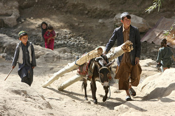 Feyzabd  Afghanistan  Kinder mit Maultieren