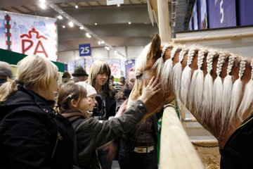 Berlin  Deutschland  Kinder streicheln ein Pferd auf der Gruenen Woche