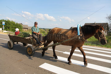 Birzy  Vicebsk  Weissrussland  Bauer auf einem Pferdefuhrwerk