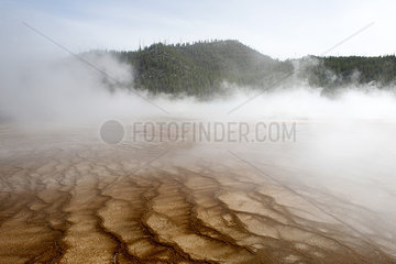 Hot spring shrouded in steam  Yellowstone National Park  Wyoming  USA