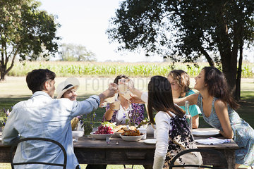 Friends clinking glasses  enjoying meal together outdoors
