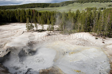 Mudpots in Yellowstone National Park  Wyoming  USA