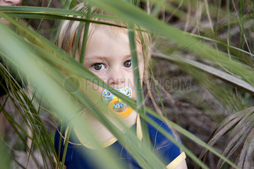 Toddler boy peering through foliage with pacifier in mouth  portrait