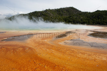 Hot spring in Yellowstone National Park  Wyoming  USA