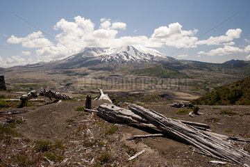 Mount St. Helens  Washington  USA