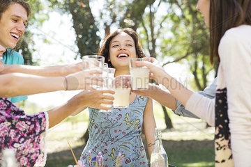 Friends toasting at picnic in park