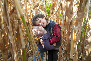 Young siblings embracing in cornfield  portrait