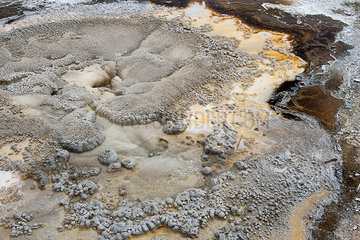 Geothermal feature in Yellowstone National Park  Wyoming  USA