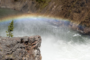 Rainbow over the Yellowstone River in Yellowstone National Park  Wyoming  USA
