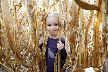 Little girl in cornfield  portrait