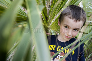Boy looking through foliage  portrait