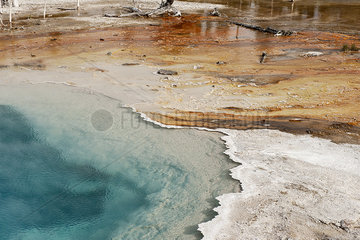 Hot spring in Yellowstone National Park  Wyoming  USA