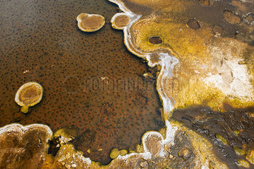 Close-up of hot spring