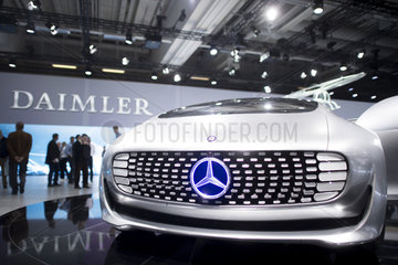 Daimler general meeting