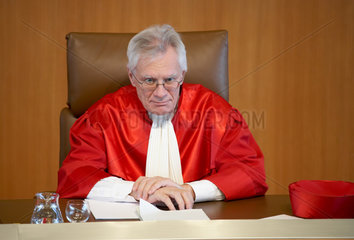 Dr. Michael Gerhardt  Bundesverfassungsrichter