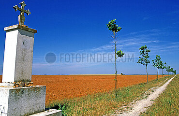 ESPAGNE. LEON. RELIEGOS  CROSS ON THE ROAD. ST JAMES WAY  THE CAMINO FRANCES