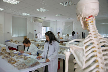 Zypern  Nikosia  Mitarbeiterinnen im anthropologischen Labor des CMP