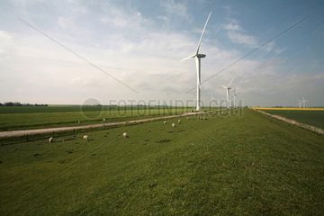 Bredstedt  Deutschland  Nordseedeich mit Windkraftanlagen auf der Hamburger Hallig