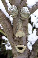 Neuenhagen  Deutschland  Gesicht an einem Baumstamm
