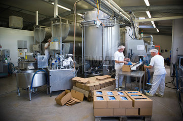 Schmargendorf  Deutschland  Molkereiangestellte verpacken Milchtueten fuer den Transport