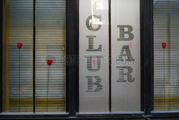 Berlin  Deutschland  rote Plastikrosen einer Bar in den Hackeschen Hoefen