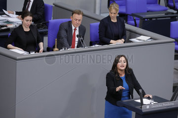 Bundestag 8.11.2018