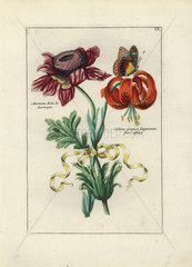 Lily and anemone tied with ribbon from Nederlandsch Bloemwerk 1794.