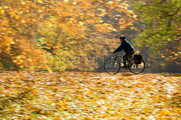 Berlin  Fahrradfahrer im Tiergarten