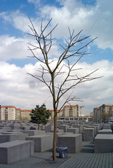 Berlin  Deutschland  abgestorbener Baum am Holocaustdenkmal