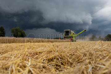 Hamm  Deutschland  Getreideernte kurz vor einem Unwetter
