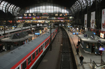 Hamburg  Deutschland  Zuege in der Haupthalle im Hauptbahnhof