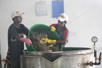 Colombo  Sri Lanka  Produktionsstaette fuer ayurvedische Produkte
