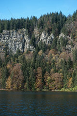 Schwarzwald  Deutschland  Feldsee