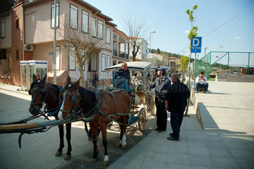 Heybeliada  Istanbul  Tuerkei  Pferdekutsche auf Heybeliad wartet auf Kundschaft