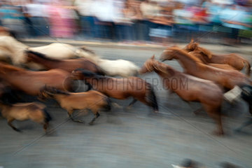 Almonte  Spanien  Saca de las yeguas - Pferde werden durch die Stadt getrieben