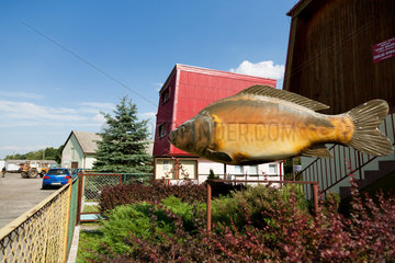 Kraschnitz  Polen  ein grosser Plastikfisch weist auf eine staatliche Fischfabrik hin