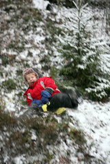 Belloe  Schweden  Junge rodelt im Wald einen kleinen Huegel herunter