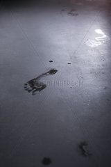 Wet footprint on floor