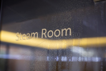 Steam room door
