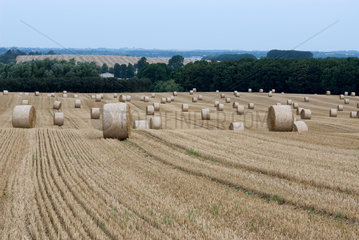 Manderow  Deutschland  abgeerntete Getreidefelder mit Strohballen am Morgen