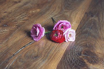 Roses on wooden table